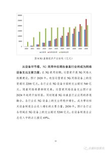 5G经济社会影响白皮书 