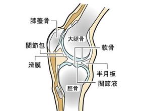 膝关节软骨损伤（屈膝到一定角度疼痛）