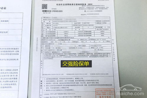 富邦电子保单下载,富邦电子保单下载，便捷服务助您轻松管理保单信息 天富平台