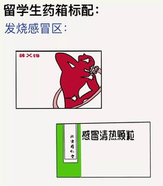 美国看病超心塞 39度高烧送院, 被劝回家喝水 没有病 死 差点气 死