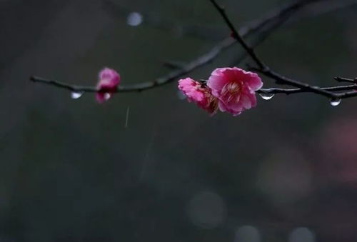 寂静和孤独,有时也是丰饶的