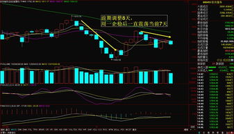 深华新重组八达园林成功了吗为何股票大跌