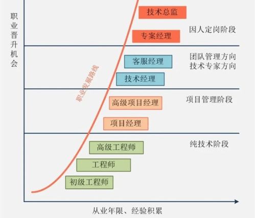 如何选择合适的软件来**dvd光盘？