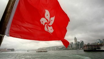 香港区旗是什么花,香港紫荆花区旗的由来？