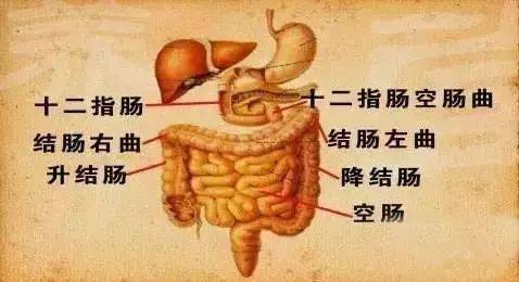 每晚伸腿15分钟,好处多多