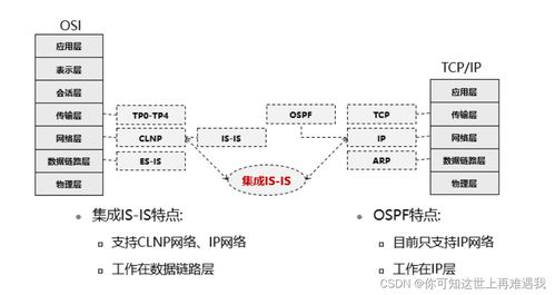 clnp网络 clnp网络 词条