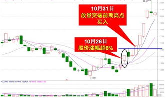 搜狐股票蛋糕拍照技巧分析