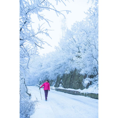 就像在做梦,这是今天清晨紫金山的雪