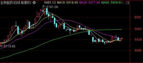 基金涨跌会改变份额吗吗,引言：理解基金投资的基本原理