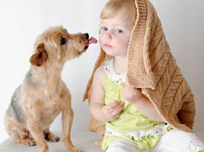 狗狗喜欢舔孩子的脸 会不会很脏