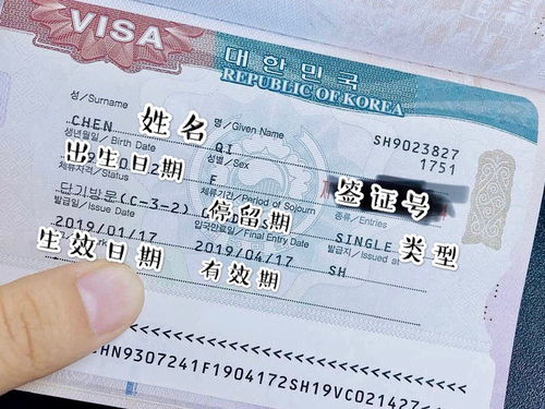 韩国旅游签证开放了吗2022,韩国旅游签证开放了吗？