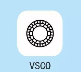 VSCO 冷蓝色调步骤 