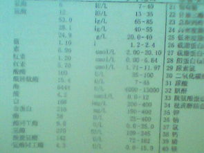 前些年看是乙肝大三阳,刚生完孩子45天,住院时的检查单,帮忙看一下 