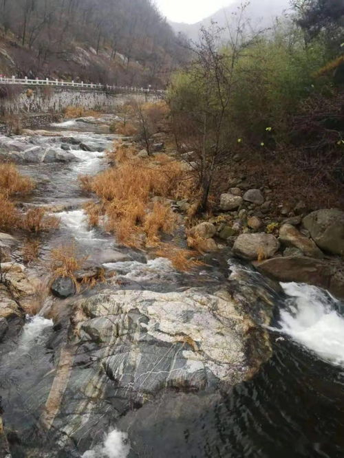 如入仙境 泰山雨后溪水湍急,山涧瀑布赏心悦目