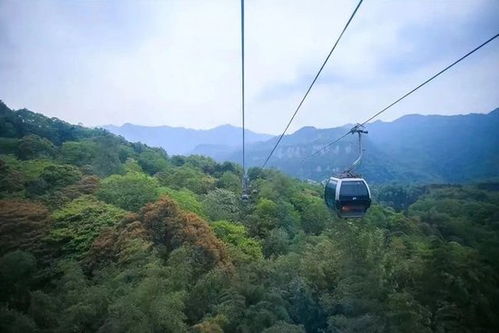 要花3亿多元,峨眉山上拟新建一条索道 