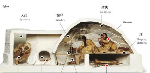 因纽特人的冰屋怎么居住的不会融化吗