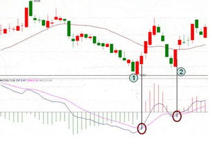 MAVOL和MACD