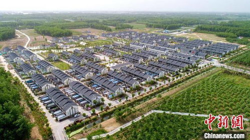江苏沛县 靠近服务农业重大项目 擘画乡村振兴美丽图景