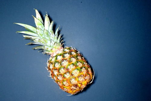 菠萝与凤梨的区别 菠萝跟凤梨有哪些区别？凤梨和菠萝的营养价值也会有区别吗？ 