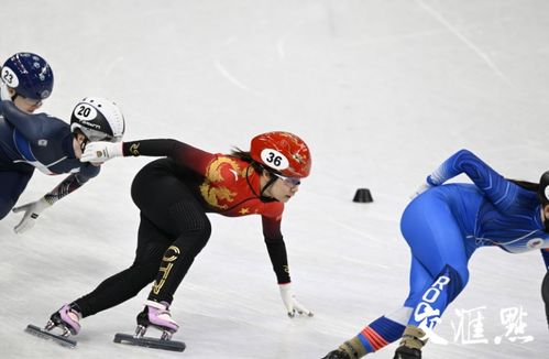 短道速滑女子1500米1 4决赛 中国队三名选手全部晋级半决赛 