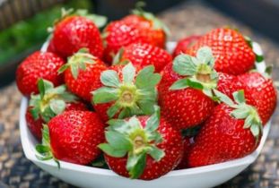 冬天的草莓是反季节吗 冬天的草莓有激素吗