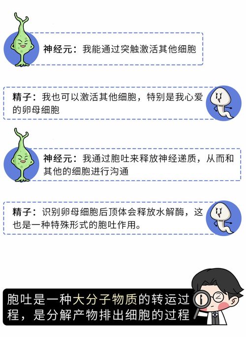 为什么男人更喜欢漂亮的女人