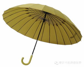 好物清单 最美不是下雨天,而是和你一起撑过的伞