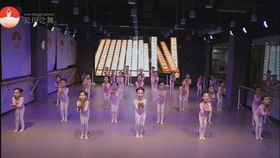 天蓝蓝舞蹈教学视频,介绍。