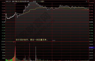 股票涨停了，收盘最后三分钟集合竞价后买1增加了大量的买单，咋解释