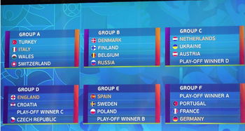 2014欧洲杯分组,小组 A