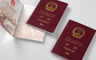 全球护照含金量榜,什么是世界护照含金量