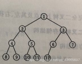 什么是二叉树,什么是二叉树？-第1张图片