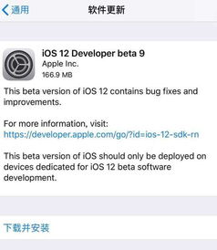 ios12beta9怎么下载,苹果手机怎么没有更新ios12