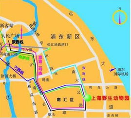 上海野生动物园路线,探访上海野生动物园的最佳路线