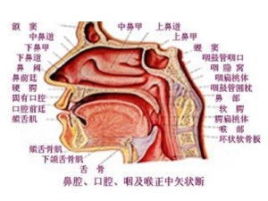 小儿过敏性鼻炎偏方