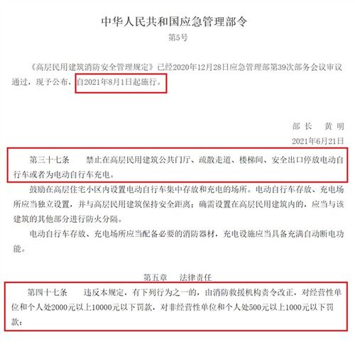 车辆违章隐患整改报告范文（违建申诉怎么写？）