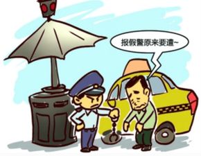 南京滴滴司机谎报被劫 为泄愤折腾民警