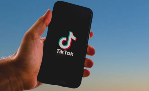 tiktok国际下载量_TikTok短影音行銷