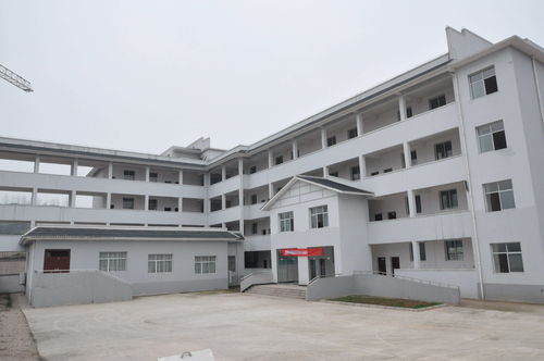 伊川县职业教育中心是什么学校