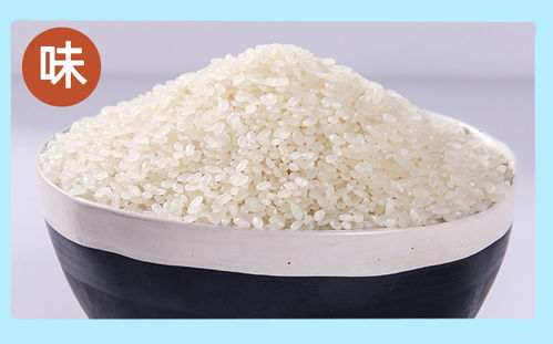 宜供优品顺丽琦新米东北大米5kg黑龙江特产真空包装圆粒水晶珍珠米