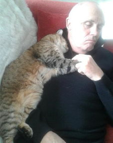 老爸手术后回家睡着,一旁有猫咪牵手陪伴,可我们家没养猫啊