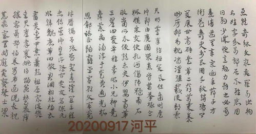 人才评价范文200字行书;书法特长描述50字？