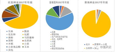 登海种业怎样