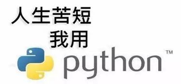 千锋培训python靠谱吗,建议：千锋培训：Pyho学习的明智之选，开启你的编程之旅！