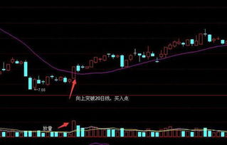 通达信选股公式：股价创新高后回抽20日均线