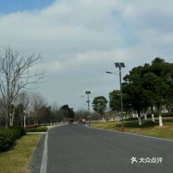 生态免费停车场,东太湖生态园哪个停车场空车多