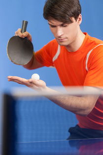 国内男乒乓球运动员排名揭秘，谁是你心