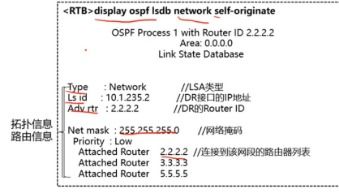 router link state,Understanding Router Link State: A Comprehensive Guide