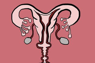 原创备孕期，身上有这4个感受暗示“小蝌蚪”发育了，或许是怀上了