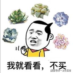 你家东西太贵了 我不要 当客户这样说,作为销售的你该怎么办